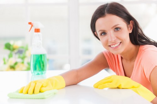 Window cleaning service for Docklands apartments and waterfront buildings