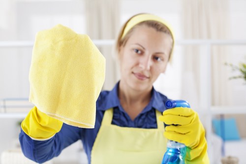 Trained carpet cleaner using professional equipment with care