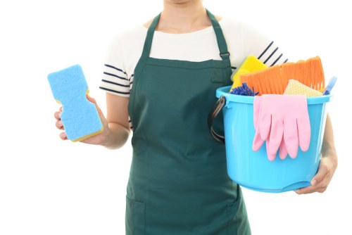 Professional carpet cleaning service for Docklands apartments and homes