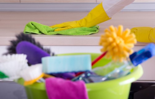 End-of-lease cleaning process for a Docklands high-rise apartment