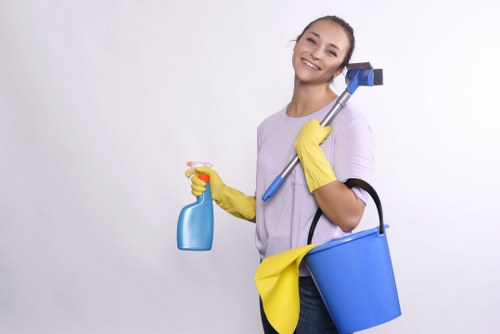 Deep cleaning kitchen surfaces and appliances in Docklands