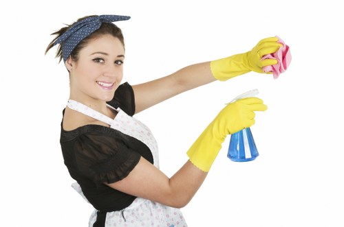 Keyboard-friendly accessibility request information for Docklands cleaning services