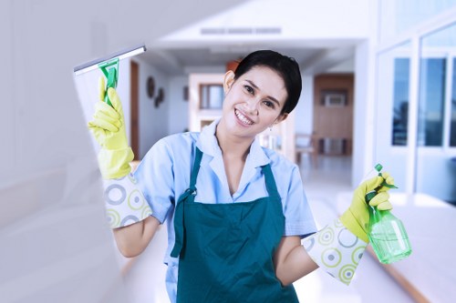 Local Docklands carpet cleaners working with care and precision