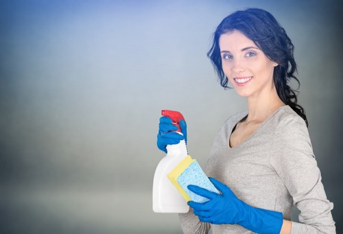Post renovation cleaning service in Docklands for a modern kitchen and glass surfaces