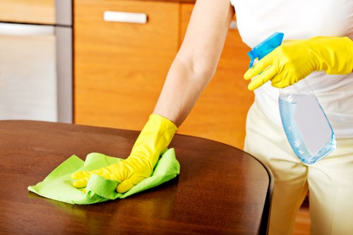 Targeted treatment of upholstery stains in a Docklands apartment